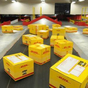 DHL International Express Package Document Gift