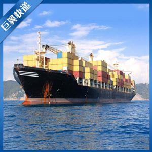 International shipping international logistics freight forwarding